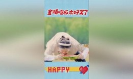 吃瓜笑哈哈,揭秘娱乐圈幕后趣闻