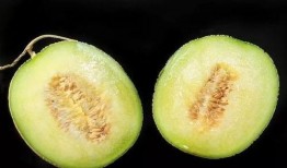 为什么吃瓜咳嗽,吃瓜咳嗽背后的科学真相