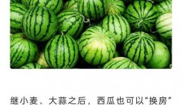 楼盘吃瓜,揭秘吃瓜群众的购房真相