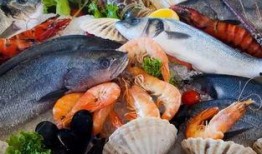 花园鳗带你吃瓜,揭秘美食背后的故事