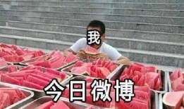 工作室吃瓜,一场娱乐圈的“瓜”事大揭秘