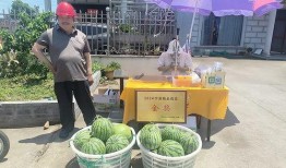 宁波外事吃瓜,吃瓜群众视角下的国际交流趣闻