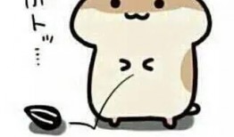 吃瓜同义词,揭秘“吃瓜群众”背后的趣味与真相