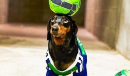 小索吃瓜,揭秘娱乐圈那些不为人知的幕后故事