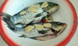 怎样吃入瓜鱼,解锁美味入馔新境界