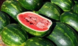 吃瓜图片横版高清,揭秘夏日消暑新潮流