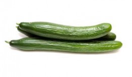 黄守瓜吃黄瓜,一场生态与美味的邂逅