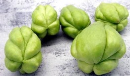 佛手瓜可以和羊肉吃不,营养互补的佳肴