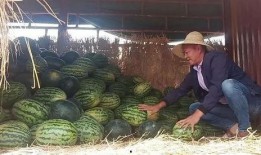 昆明学校 吃瓜,揭秘校园“吃瓜”背后的故事