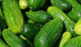 梦见找瓜吃,探寻梦中寻瓜的奥秘