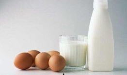 胖子吃瓜瘦子吃脲,揭秘“吃瓜瘦子，吃脲胖子”的奥秘