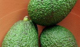 桃子可以和哈密瓜一起吃吗,健康美味两不误