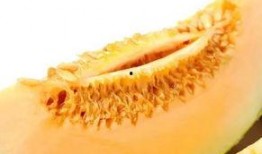 吃蜜瓜会过敏么,了解蜜瓜引起的过敏反应