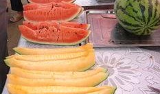 吃瓜的白白子,揭秘“吃瓜群众”背后的白白子世界