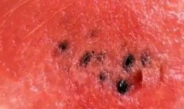 怎样吃瓜不脏脸,优雅不脏脸的秘诀指南