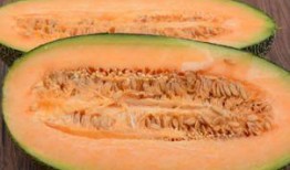 姐妹们吃哈密瓜