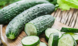 吃不被定义的瓜,探寻美食界的未知领域