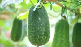 最近吃的瓜,揭秘明星们的幕后故事