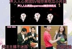 带你吃瓜vocal,带你领略“带你吃瓜vocal”的独特魅力