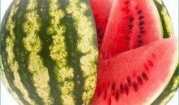 吃老不瓜的好处,品味岁月静好的生活智慧