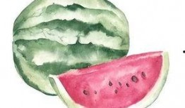 为簪花吃大瓜,一场穿越时空的美食盛宴