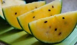 甘肃吃瓜网站,带你领略陇上美食风情