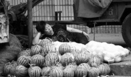 瓜农翻车路上吃瓜视频,这瓜太香了！