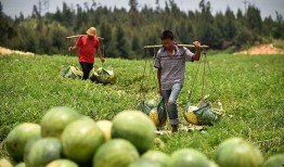 11月4日吃瓜,吃瓜群众见证的娱乐圈风云变幻