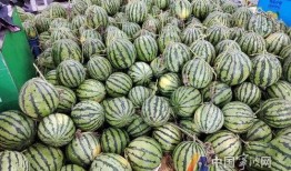 宁波外事吃瓜,吃瓜群众视角下的国际交流趣闻