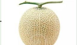 吃网纹瓜群众图片,群众共享甜蜜时光