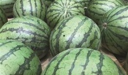 吃地瓜还是有机瓜,健康饮食的选择之道