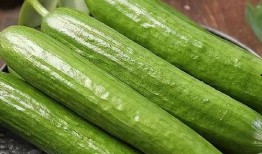 吃老不瓜的好处,品味岁月静好的生活智慧