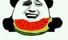 韩国吃瓜犯法吗,吃瓜群众需谨慎，吃瓜犯法真相揭秘