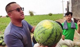 乌鲁木齐吃瓜最新,街头巷尾的清凉一夏