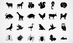 吃瓜卡通剪影素材,趣味横生的视觉盛宴