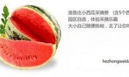 吃瓜群众做中介,揭秘中介行业的幕后故事