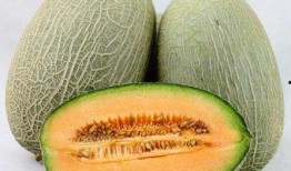 哈密瓜吃哈密瓜,品味正宗哈密瓜的独特魅力