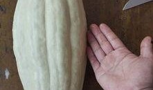 西安人吃小瓜还是大瓜,小瓜与大瓜的味蕾对决