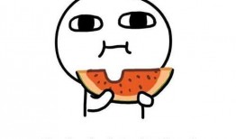 吃瓜落雪后续,揭秘神秘事件背后的真相与谜团