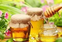 吃瓜优美的句子