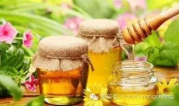 吃瓜优美的句子