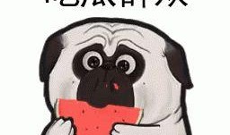 带你吃瓜312,带你吃瓜312背后的故事与真相