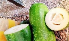 3月瓜怎么吃,3月瓜果的多样食用指南