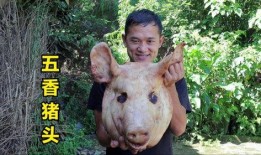 刘大瓜吃货,探寻美食世界的独特旅程