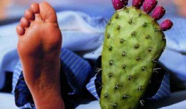 痛风可以吃洋瓜尖,洋瓜尖助力健康饮食