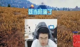 纳兰吃瓜,揭秘娱乐圈背后的那些事儿