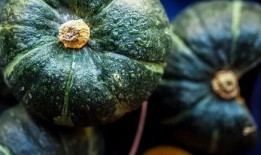 吃瓜的真实图片