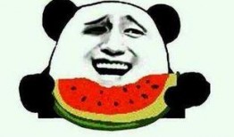 吃瓜群众吃货,揭秘美食背后的故事与诱惑