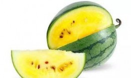 邳州哪里吃瓜最好,探寻最佳吃瓜胜地