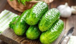 全球吃瓜视频大全,吃瓜视频大全精彩盘点